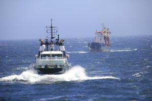 ALP Ippon_towing MV Anna Chris (7).jpeg